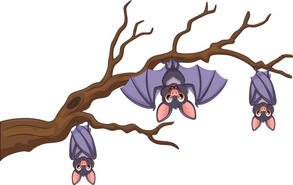 Happy cartoon bat hanging on tree
