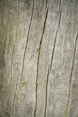 Old Wood Background