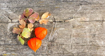 Orange winter cherry on a wooden background