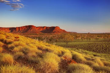 Zelfklevend Fotobehang Australisch landschap in Purnululu NP, West-Australië © sara_winter
