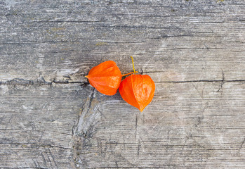 Obraz premium Orange winter cherry on a wooden background