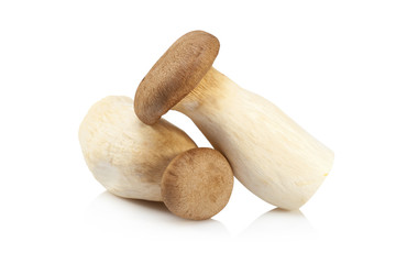 King Oyster mushroom (Eringi) isolated on white backgroud.