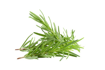 rosemary isolated on white background