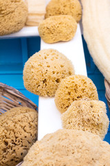 Уellow sponges
