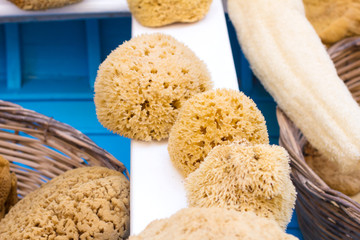 Natural yellow sponges