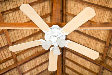 Fan and Lighing on top