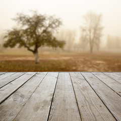 Wooden perspective floor with planks on blurred natural autumn background, can use for display or montage your products template. Copy space