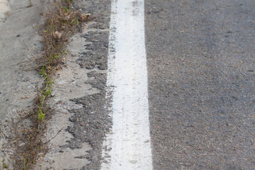 Obraz premium Close-up of roadside