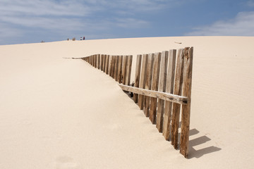 Fototapeta na wymiar Dunas de arena en las playas de Bolonia en la costa de Tarifa, Cádiz
