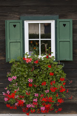 Fototapeta na wymiar Blumen vor dem Fenster eines alten Bauernhof in der Steiermark, Österreich
