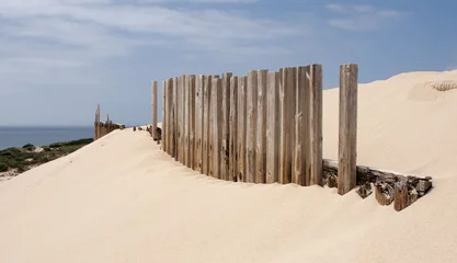 Photo sur Plexiglas Plage de Bolonia, Tarifa, Espagne Dunas de arena en las playas de Bolonia en la costa de Tarifa, Cádiz