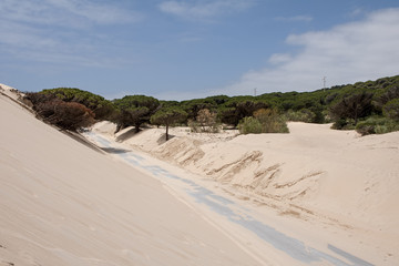 Dunas de arena en las playas de Bolonia en la costa de Tarifa, Cádiz