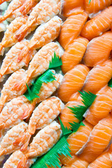 Row of shushi fresh shrimp and salmon