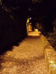 strada di notte