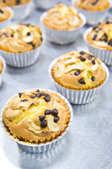 Muffin butter cakes with cashew nut and chocolate chips on top