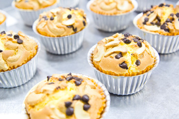 Muffin butter cakes with cashew nut and chocolate chips on top