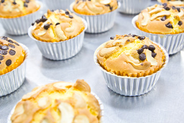 Muffin butter cakes with cashew nut and chocolate chips on top