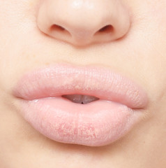woman lips