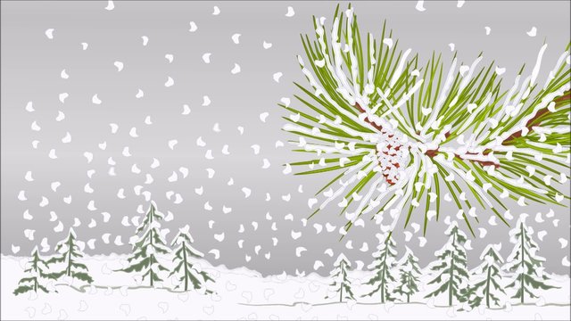 Animation of illustration seamless loop winter pine branch with snow and pine cone christmas theme video