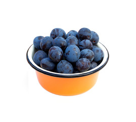 Still life with many ripe blue plums in round orange metal bowl isolated on white, front view close up