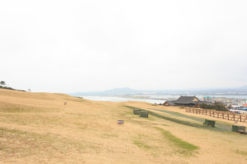 Obraz premium Winter landscapes in Jeju Island South Korea