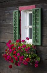 Fototapeta na wymiar Blumen vor dem Fenster, Steiermark, Österreich