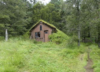 Fototapeta na wymiar wooden hut