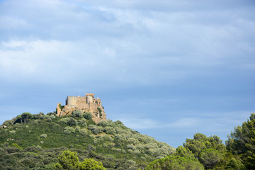 Fototapeta na wymiar Château de Saint-Martin