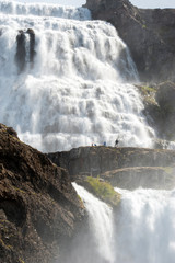 Fototapeta premium Dynjandi waterfall, West Fjords, Iceland