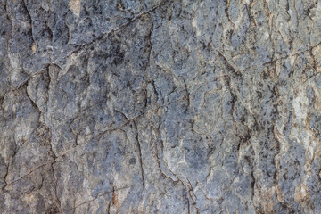 Close up texture of rock
