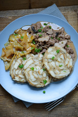 Serviettenknödel,Kraut und Sojagulasch, vegan