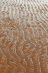 Fototapeta premium Tracesb of flowing water on the sand. Natural background of sand in ripple wave pattern.