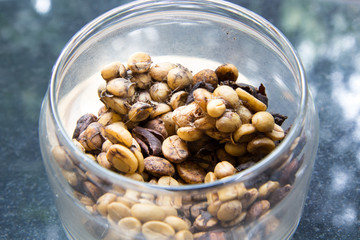 Raw civet coffee in the bowl, Thailand