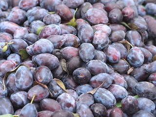 Pile of fresh blue plums at farmers market. 