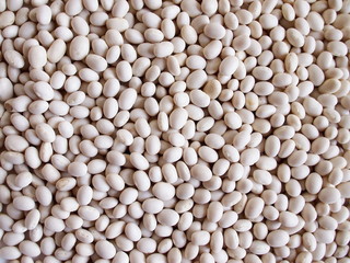 Layer of dry white beans.