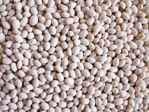 Layer of dry white beans.