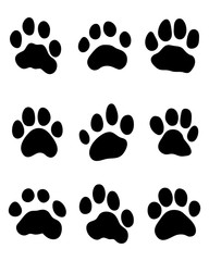 Fototapeta na wymiar Black print of tiger paw, vector illustration
