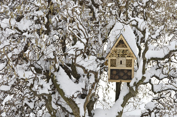 N&uuml;tzlingshaus im Winter