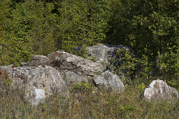 Gray stones on the forest background