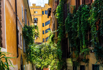 Fototapeta na wymiar Traditional old buildings Street view in Rome, ITALY