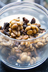 Raw civet coffee in the bowl, Thailand