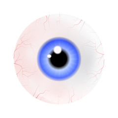 Image of realistic human eye ball with colorful pupil, iris. Vector illustration isolated on white background.