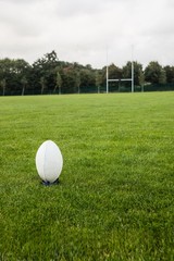 Naklejka premium Rugby ball on the pitch