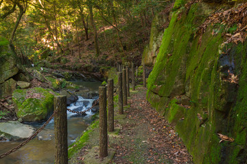 Walkway in forest feeling deserted with a little waterfall