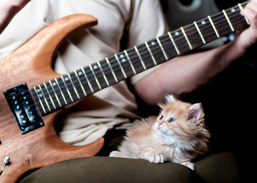 red kitten asleep in the arms of men playing the guitar
