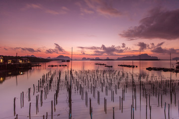 The Oyster Farms at Sam chong Tai, Phang Nga province.Thailand