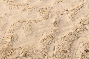 texture of wet sand