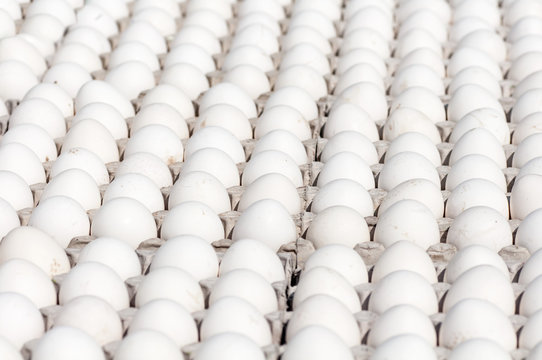 background many white eggs closeup