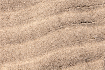 Fototapeta na wymiar wavy texture of the sand
