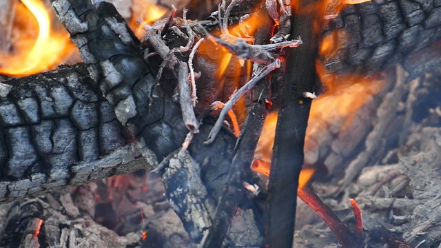 Fire is burning timber in forest, Human-caused disasters.